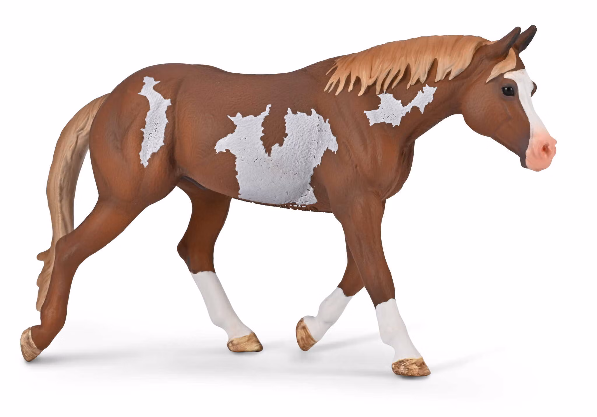 American paint horse hingst (Collecta)