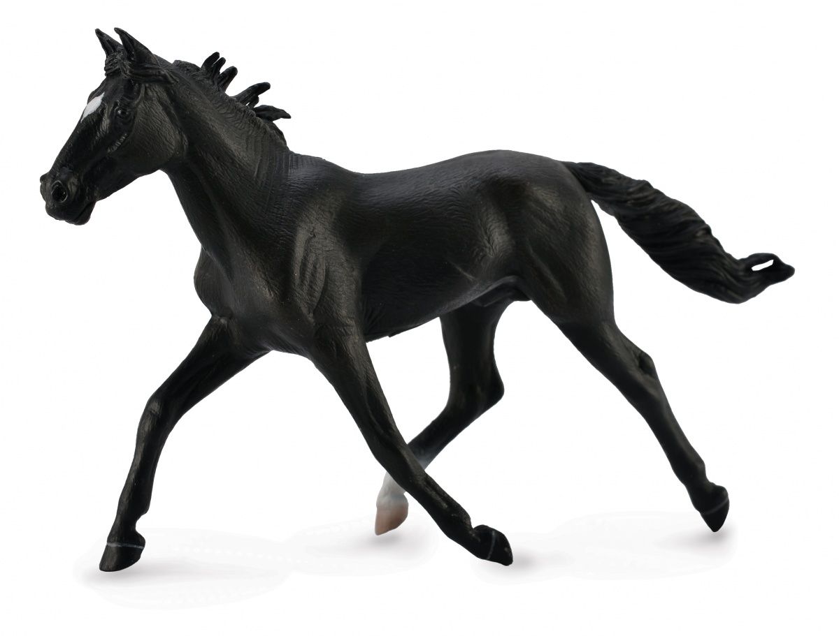Amerikansk travare svart (Collecta)
