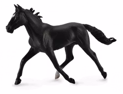 Amerikansk travare svart (Collecta)