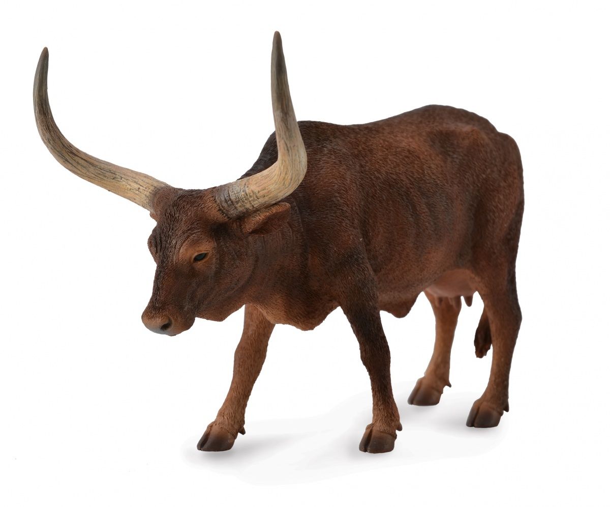 Ankole-Watusi ko 13 cm (Collecta)