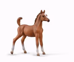 Arabföl (Collecta)