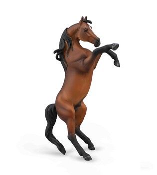 Arab hingst stegrande (Collecta)