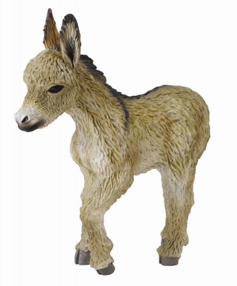 Åsneföl (Collecta)