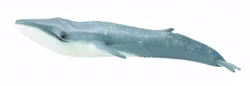 Blåval 28 cm (Collecta)