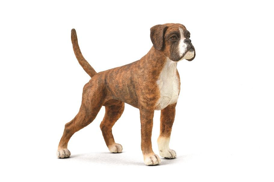 Boxer 8 cm (Collecta)