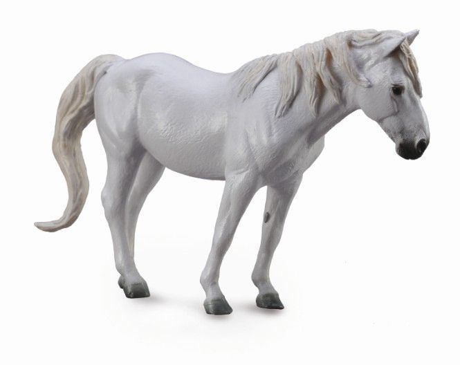 Camarguehäst (Collecta)