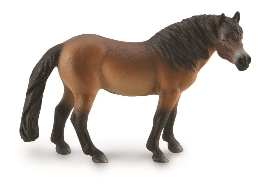 Exmoorponny (Collecta)