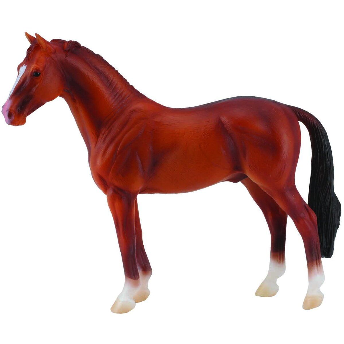 Hannoveranare fux hingst (Collecta)