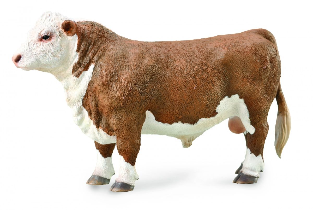 Hereford tjur (Collecta)