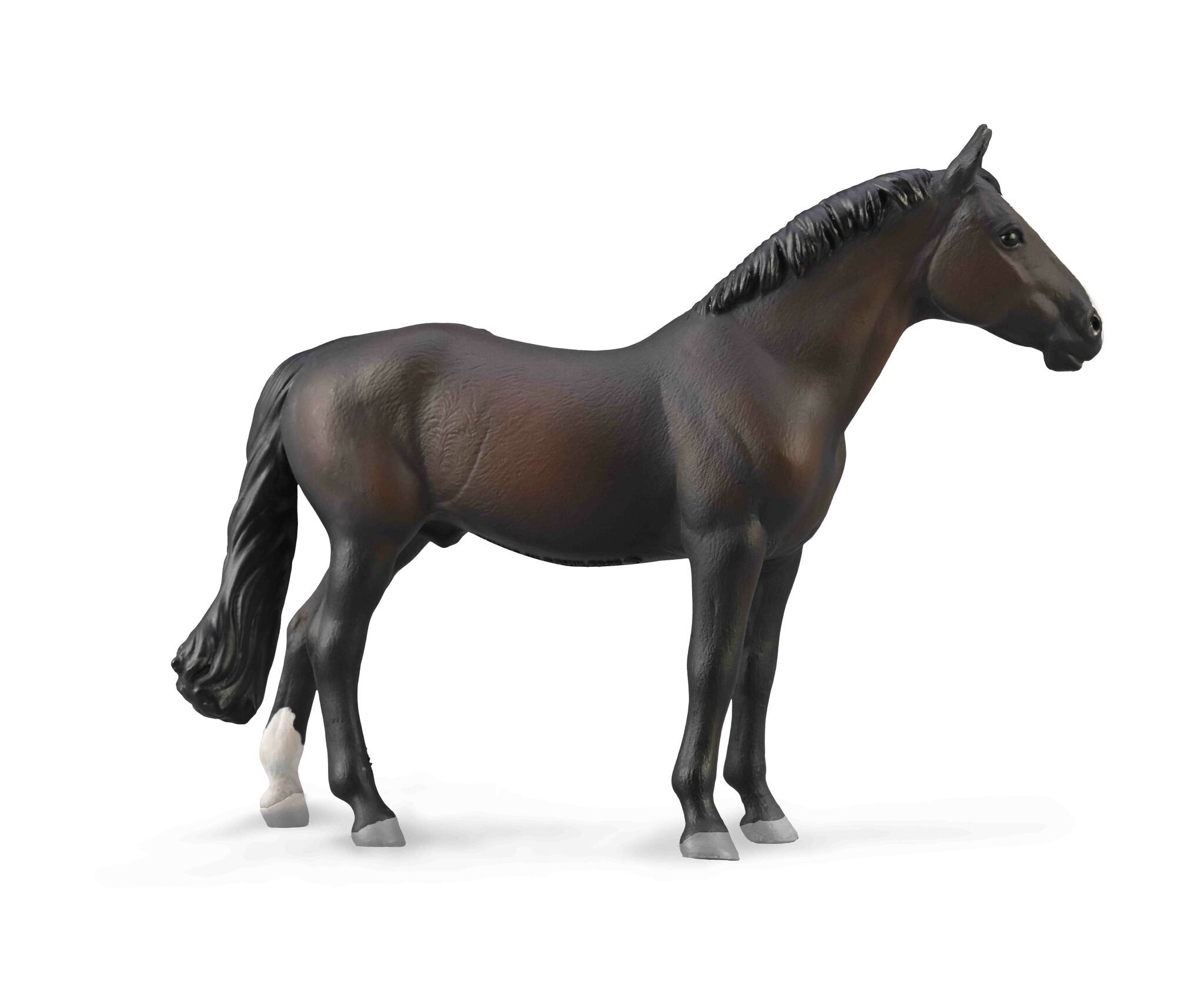 Holsteiner brun (Collecta)