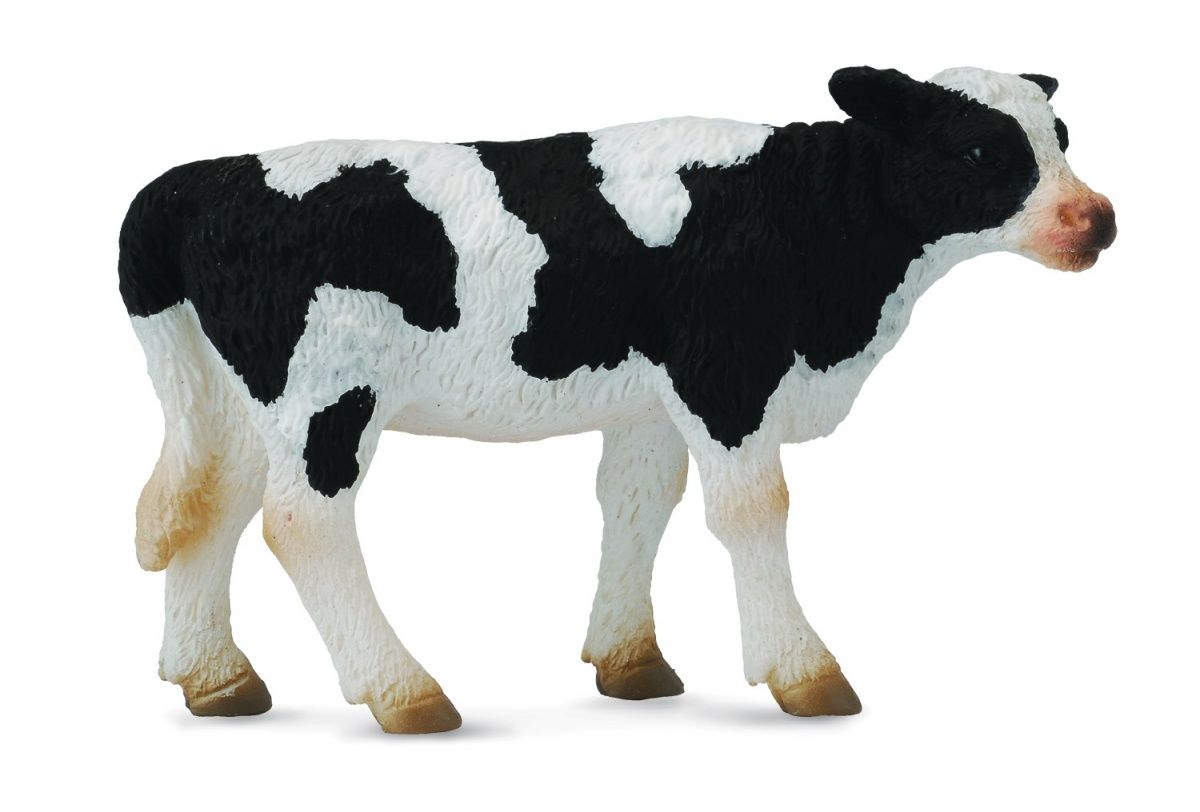 Kalv svartvit (Collecta)