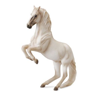 Lipizzaner hingst (Collecta)