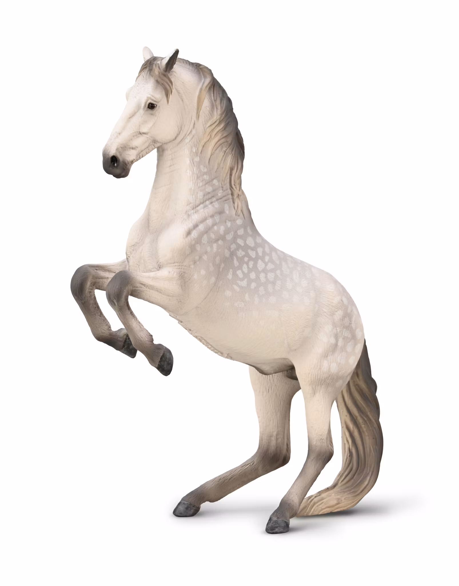 Stegrande lipizzanerhingst skimmel (Collecta)