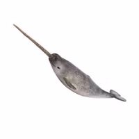 Narval 22 cm (Collecta)