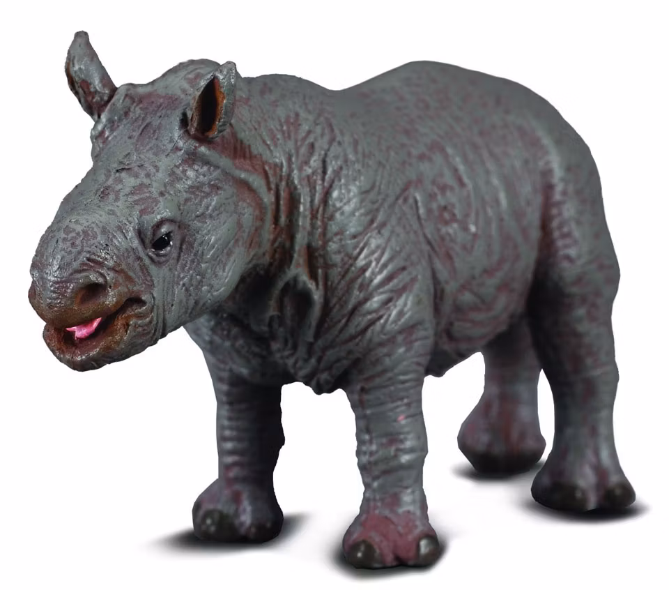Trubbnoshörningsunge (Collecta)