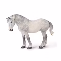 Percheron sto skimmel (Collecta)