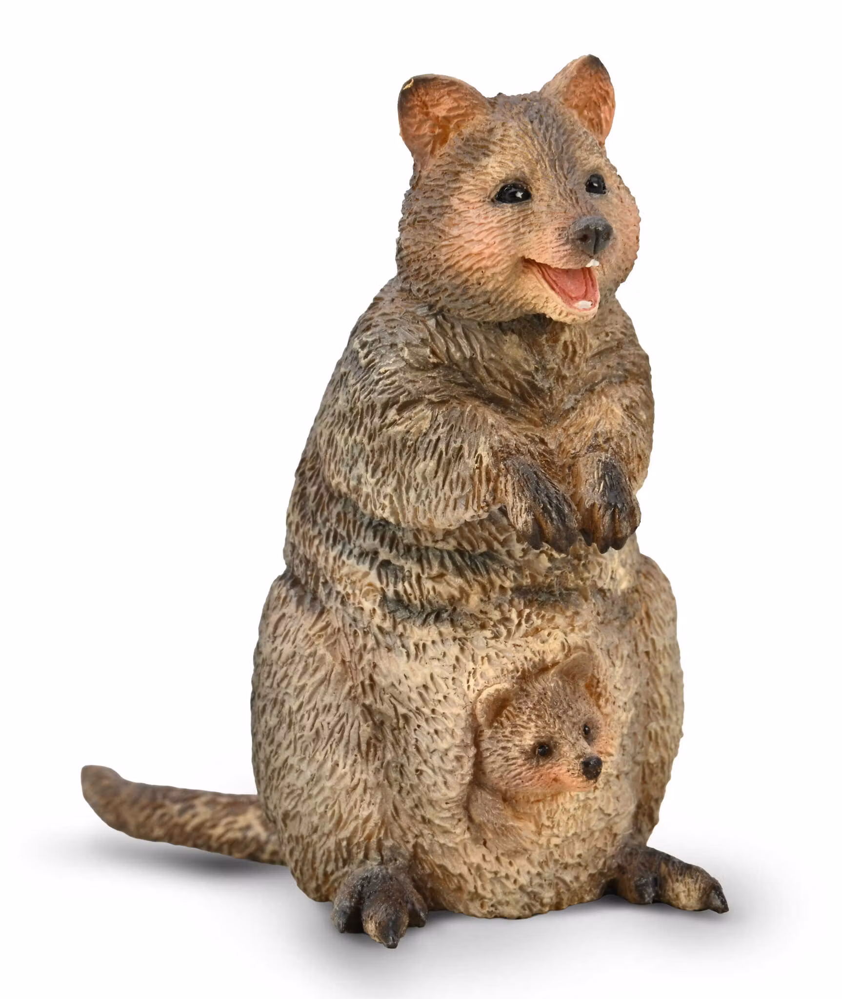Quokka-kortsvansvallaby med unge 7 cm (Collecta)