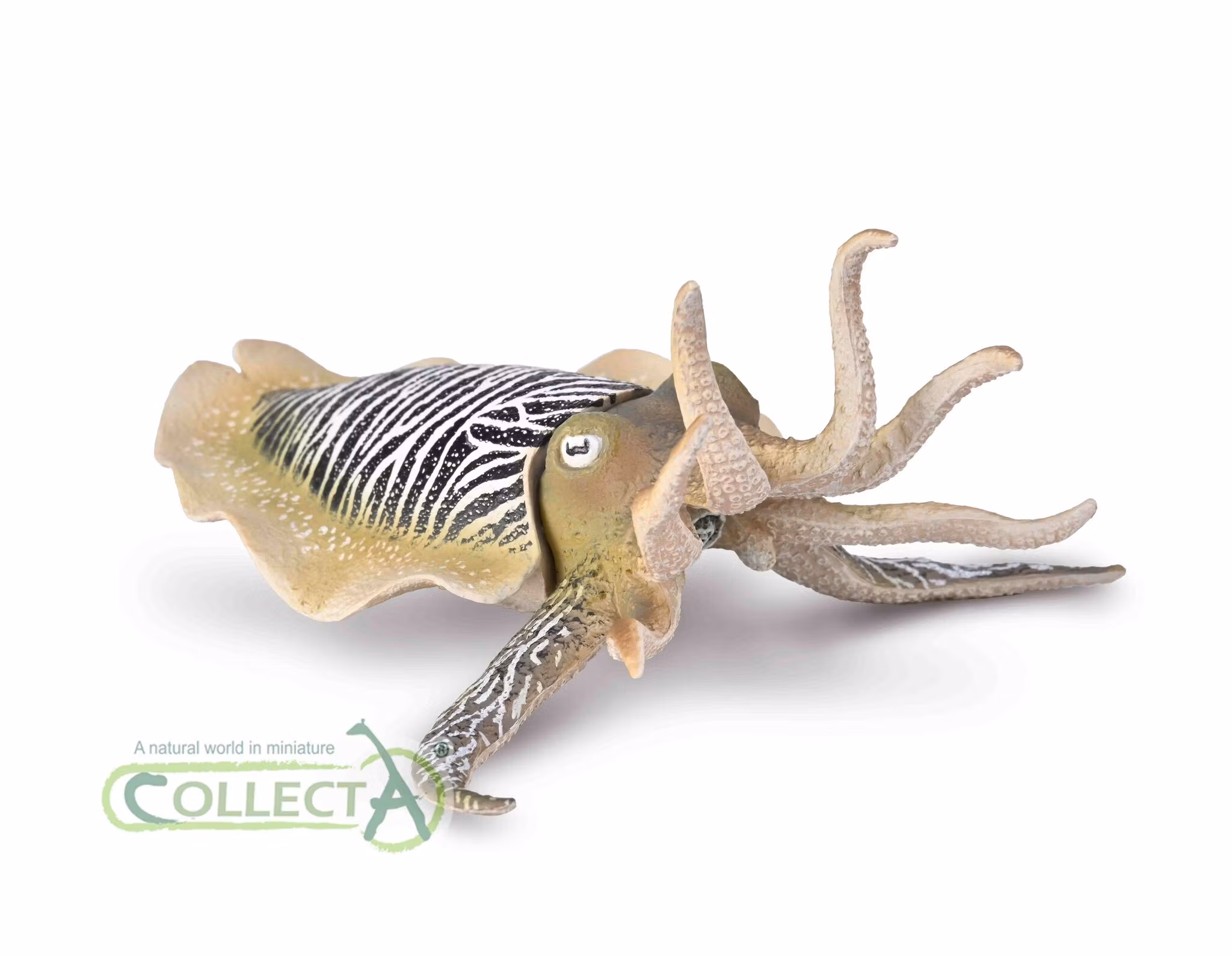 Bläckfisk-Sidensepia 10 cm (Collecta)