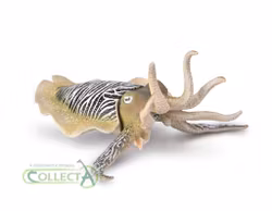 Bläckfisk-Sidensepia 10 cm (Collecta)
