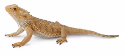 Skäggagam 13 cm (Collecta)