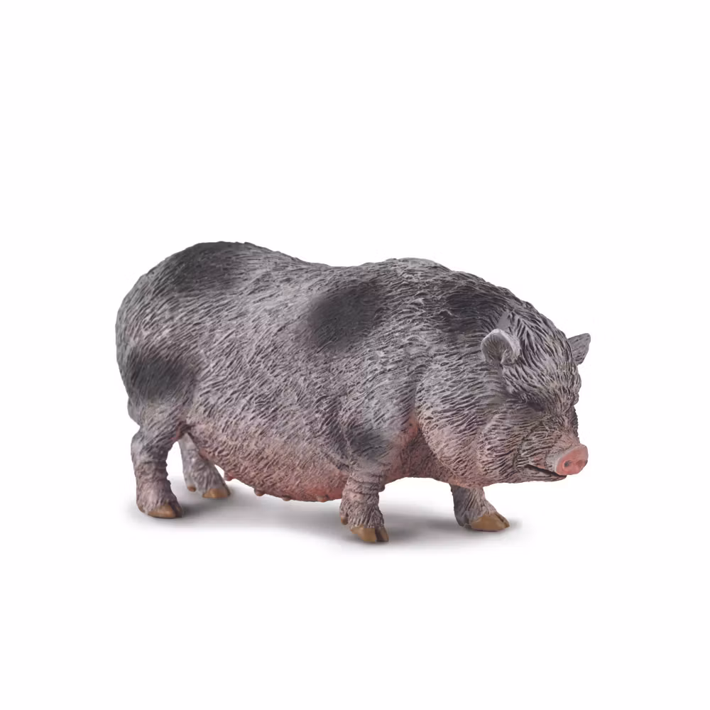 Vietnamesiskt hängbukssvin 7cm (Collecta)