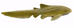 Zebrahaj 12 cm (Collecta)