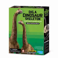 Gräv fram och bygg ihop ett dinosaurieskelett - Brachiosaurus