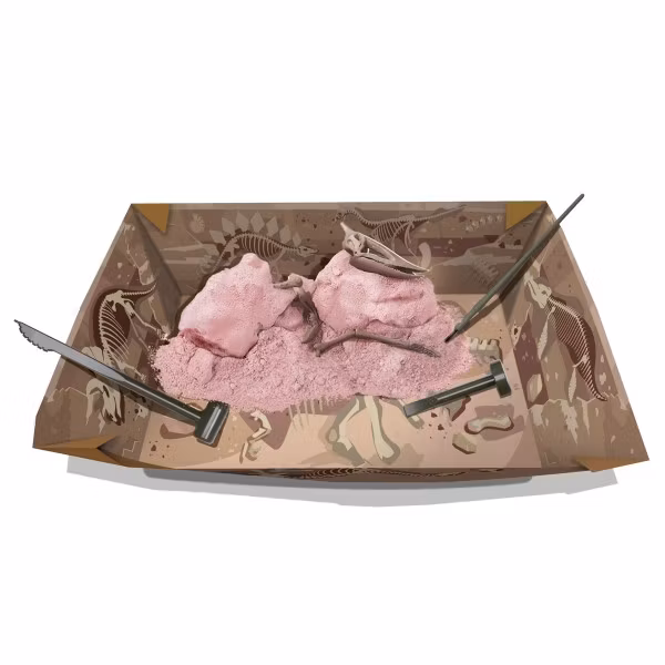 Gräv fram och bygg ihop ett dinosaurieskelett - Pteranodon