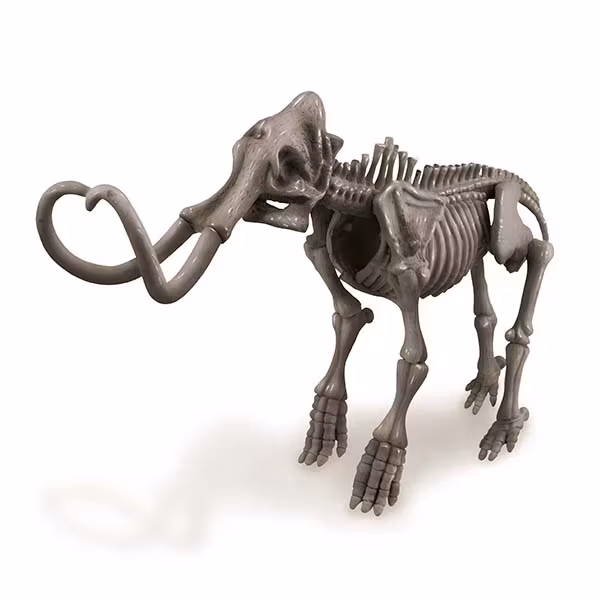 Gräv fram och bygg ihop ett skelett - Mammut