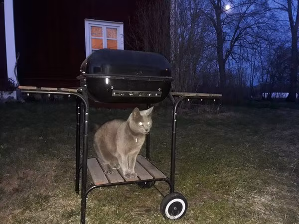 Buskul Halloween 2025