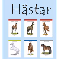Hästar kortspel