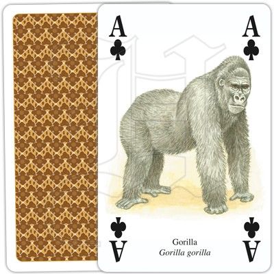 Afrikas djur - Kortlek