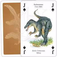 Dinosaurier - Kortlek