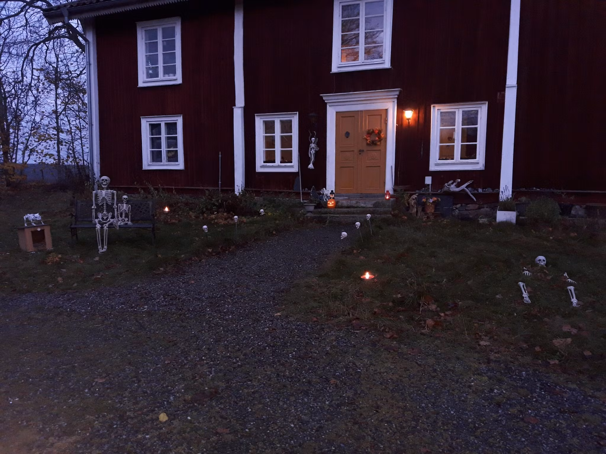 Buskul Halloween 2024