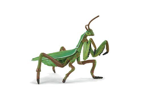 Bönsyrsa 10 cm (Papo)