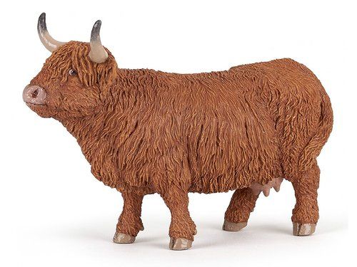 Highland cattle ko (Papo)
