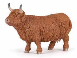 Highland cattle ko (Papo)