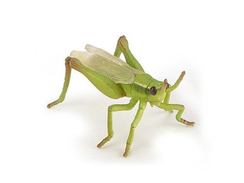 Gräshoppa 6 cm (Papo)