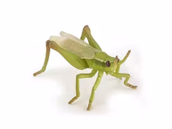 Gräshoppa 6 cm (Papo)