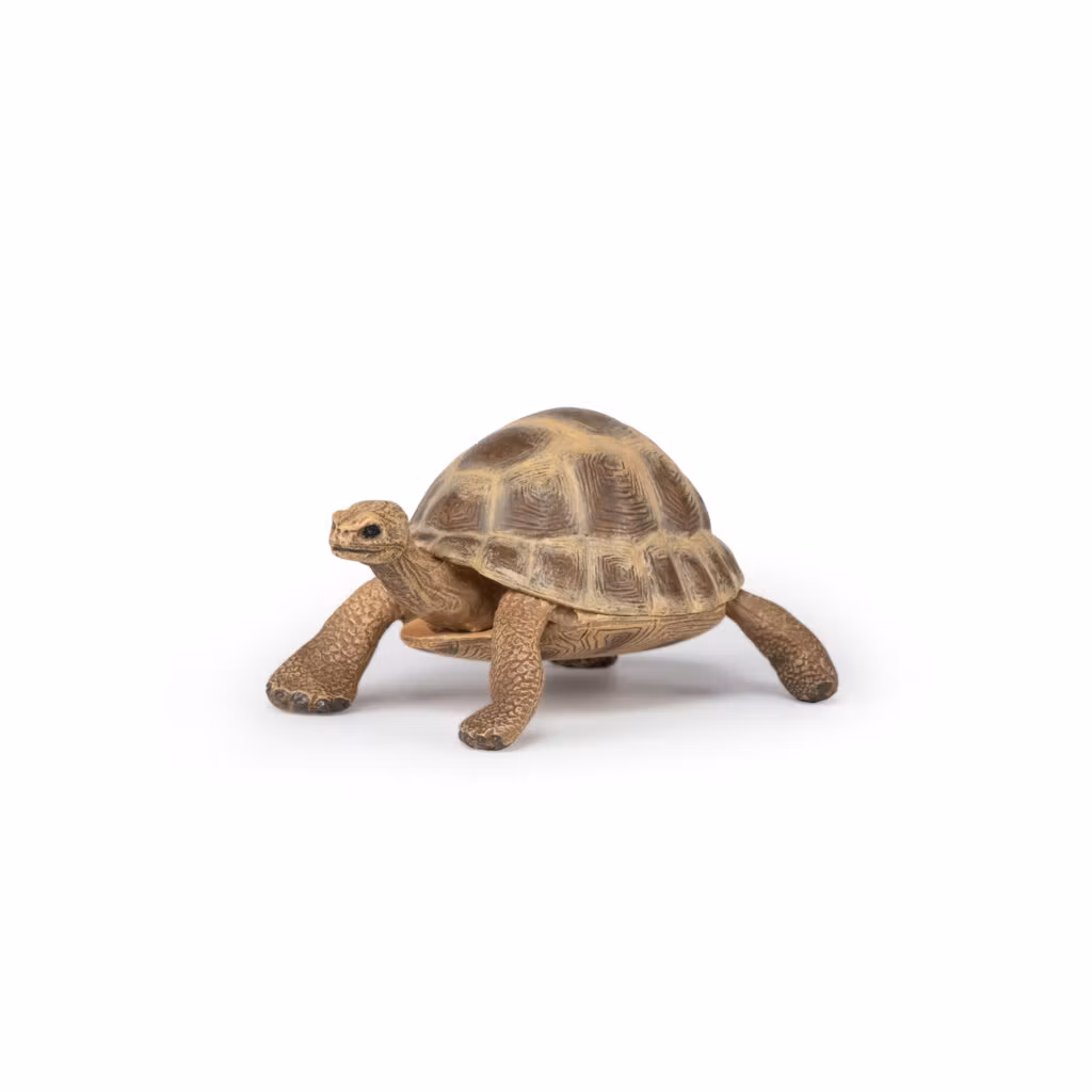 Grekisk landsköldpadda 7 cm (Papo)