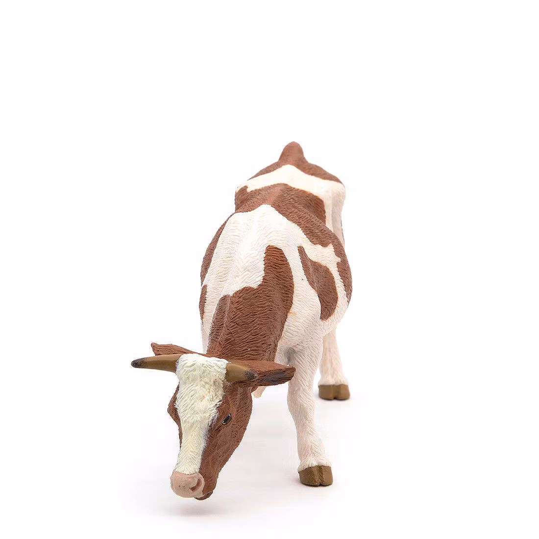 Simmental ko (Papo)