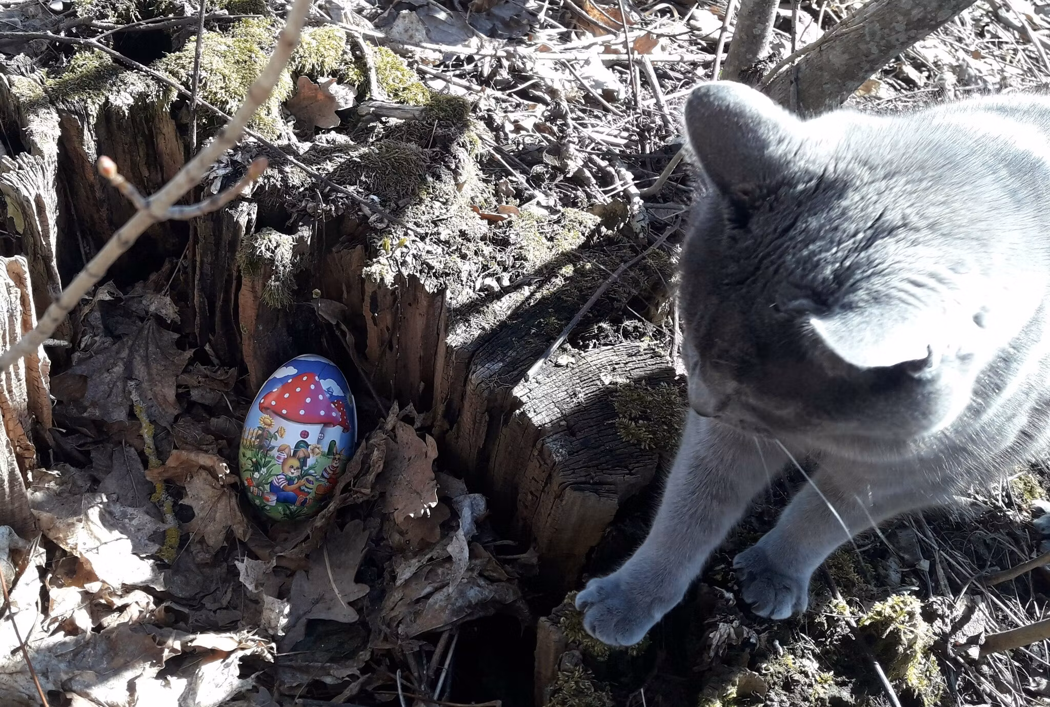 Familjedagar på Siggegården påsklovet 2026