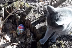 Familjedagar på Siggegården påsklovet 2026