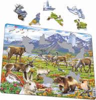 Pussel Arktisk tundra 50, bitar