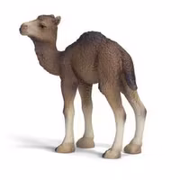 Dromedarföl (Schleich)