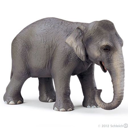 Asiatisk elefant hona (Schleich)