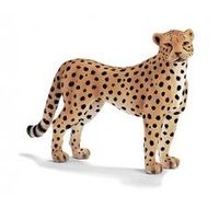 Gepardhona (Schleich)