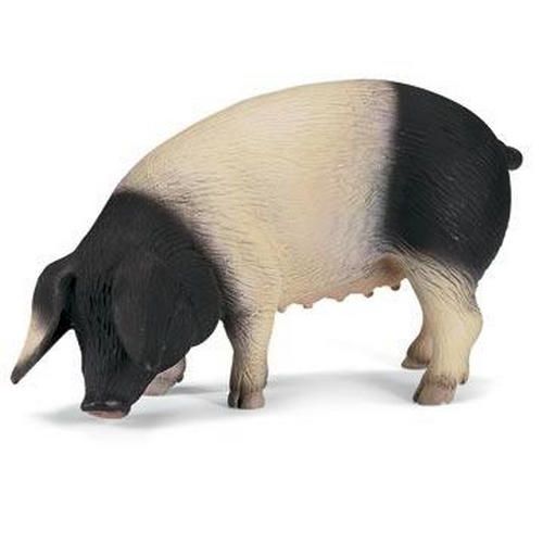 Swabian Hall sugga (Schleich)