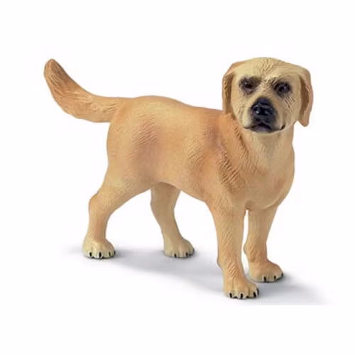 Gul labrador (Schleich)