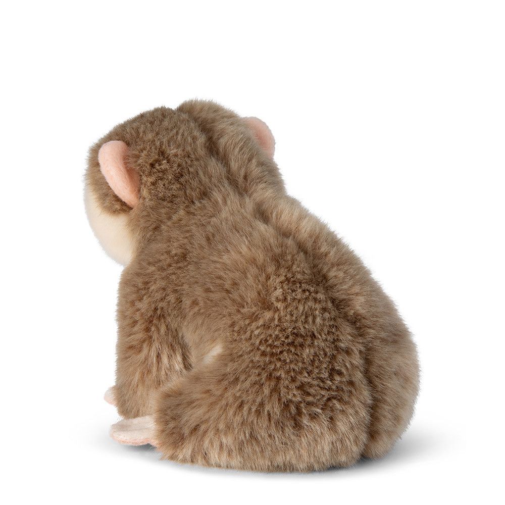 Loris 18 cm (WWF)